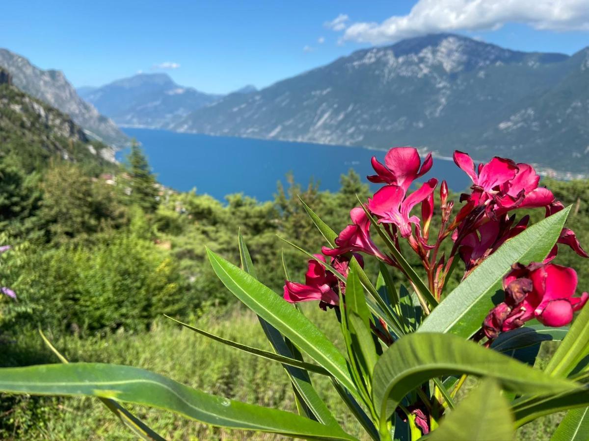 Un Balcone Sul Garda Apartment Tremosine Bagian luar foto